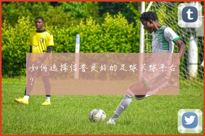 如何选择信誉良好的足球买球平台?