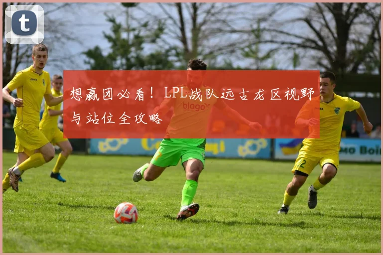 想赢团必看!LPL战队远古龙区视野与站位全攻略